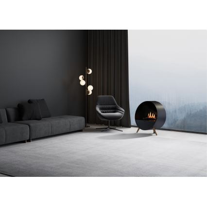 Planika - BIO kamin s daljinskim upravljačem 72,6x65 cm 2,5kW/230V crna