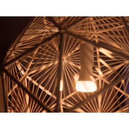 Početni paket Philips Hue WHITE AMBIANCE 2xE27/8W/230V + uređaj za povezivanje