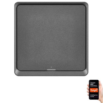 Prekidač sa jednim tasterom GoSmart 1xCR2430 Tuya crna