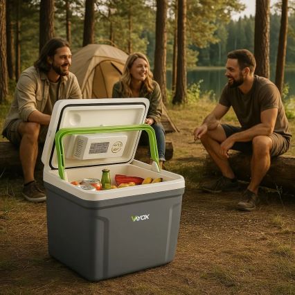 Prenosni auto-frižider sa funkcijom grejanja 27 l 230V/12V/24V sivi