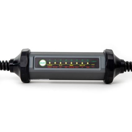 Prenosni punjač za električne automobile sa 4 Type 2 adaptera, 32A/480V, 22 kW, 5 m, IP67