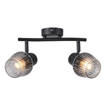 Prezent 14101 - Spot svetiljka OASIS 2xE27/60W/230V crna/dimljeno staklo