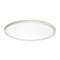 Prezent 27306 - LED plafonsko svetlo za kupatilo CORDIA LED/18W/230V 3000/6000K IP54 bela