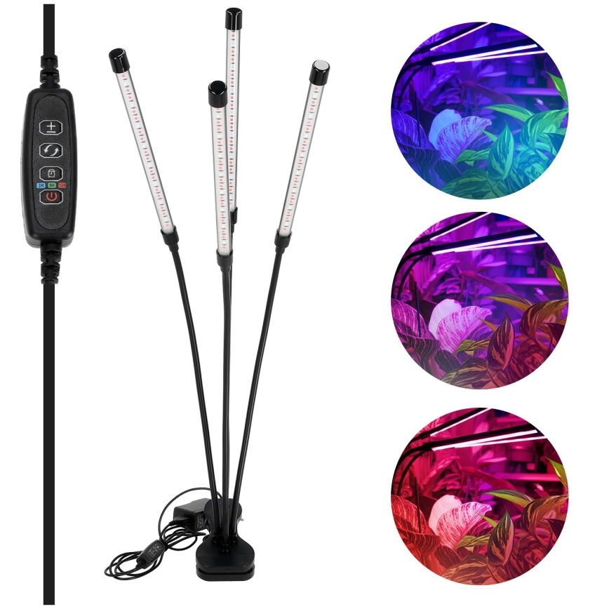 LED prigušiva fleksibilna stona lampa sa klipsom za uzgoj biljaka VITARO 4xLED/10W/230V crna