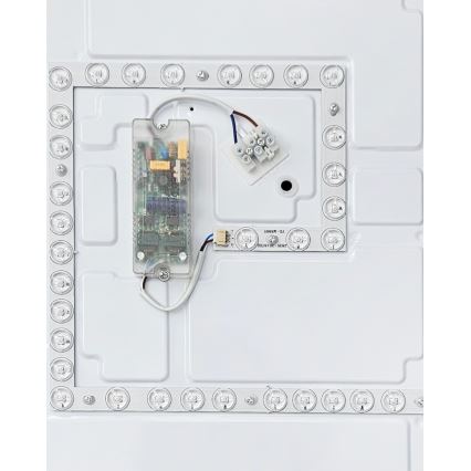 LED prigušiva stropna svetiljka FLORA LED/60W/230V 2700-6500K 53x53 cm +daljinski upravljač