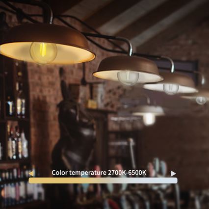 Prigušiva LED sijalica FILAMENT G45 E27/4,5W/230V 2700-6500K Wi-Fi - Aigostar