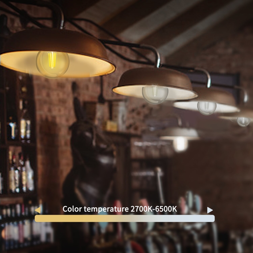 Prigušiva LED sijalica FILAMENT G45 E27/4,5W/230V 2700-6500K Wi-Fi - Aigostar