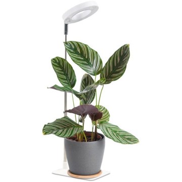 Prigušiva LED stona lampa za uzgoj biljaka VERDI LED/5W/5V 1300K CRI 95 bela
