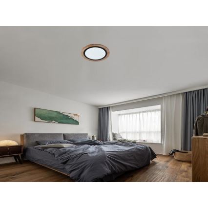 Prigušiva LED stropna svetiljka 25W/230V 3000-6500K + daljinski upravljač