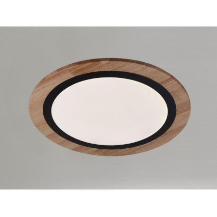 Prigušiva LED stropna svetiljka 25W/230V 3000-6500K + daljinski upravljač