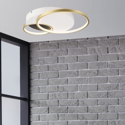 Prigušiva stropna lampa BENITO LED/31W/230V 3000-6500K bela/zlatna