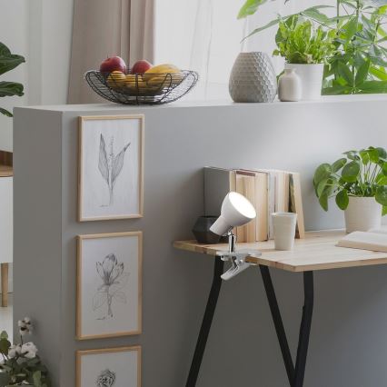 Rabalux - LED lampa sa klipsom LED/5W/230V