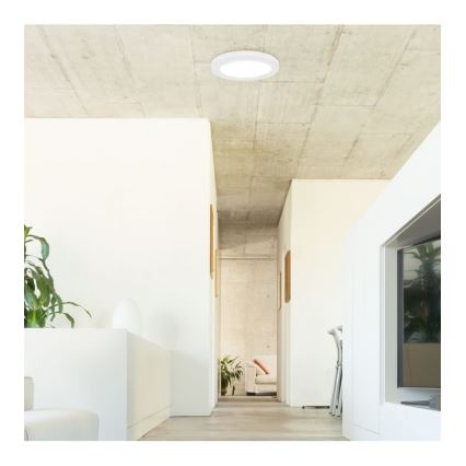 Rabalux - LED plafonsko svetlo sa senzorom LED/18W/230V 4000K prečnik 22,5 cm