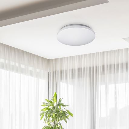 Rabalux - LED stropno svetlo LED/32W/230V prečnika 38 cm