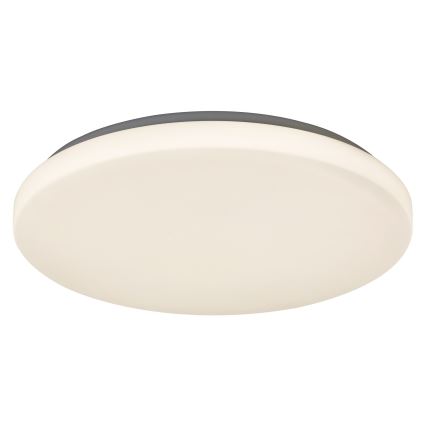 Rabalux - LED stropno svetlo LED/32W/230V prečnika 38 cm