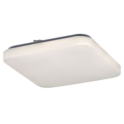 Rabalux - LED plafonsko svetlo LED/20W/230V 28x28 cm