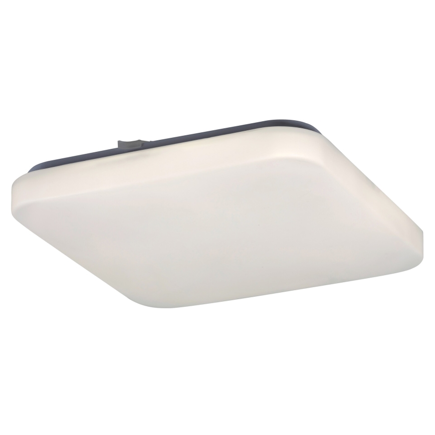Rabalux - LED plafonsko svetlo LED/20W/230V 28x28 cm