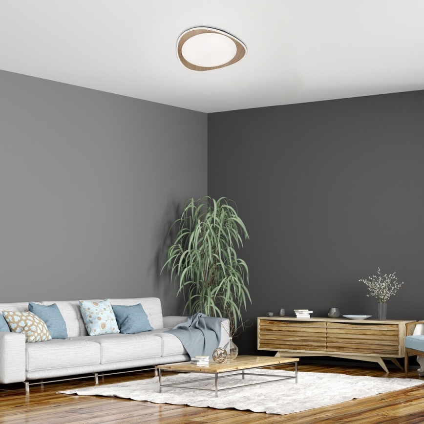 Rabalux - LED plafonsko svetlo LED/24W/230V Ø 45 cm