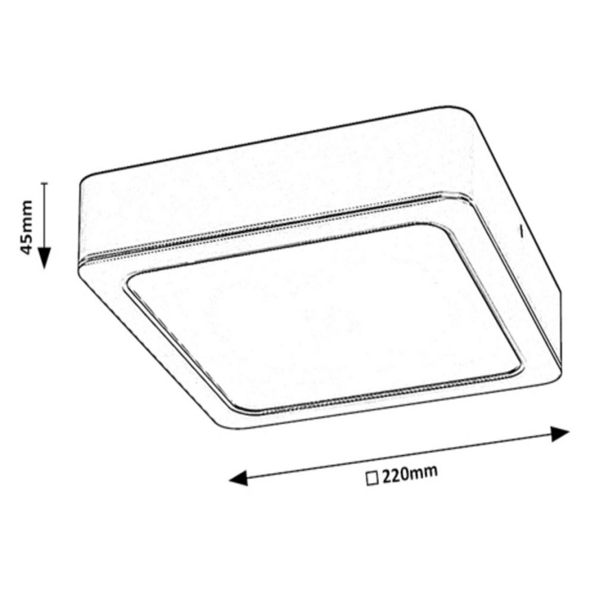 Rabalux - LED plafonska svetiljka LED/24W/230V 22x22 cm