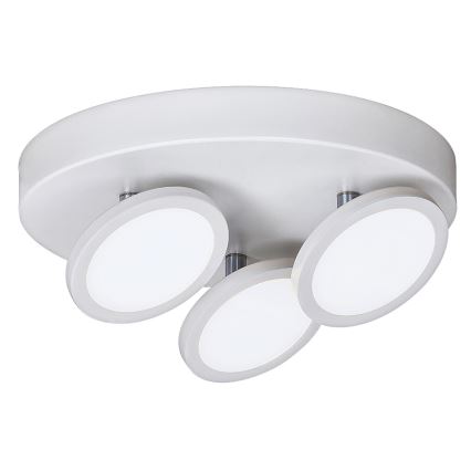Rabalux - LED plafonsko svetlo 3xLED/6W/230V belo