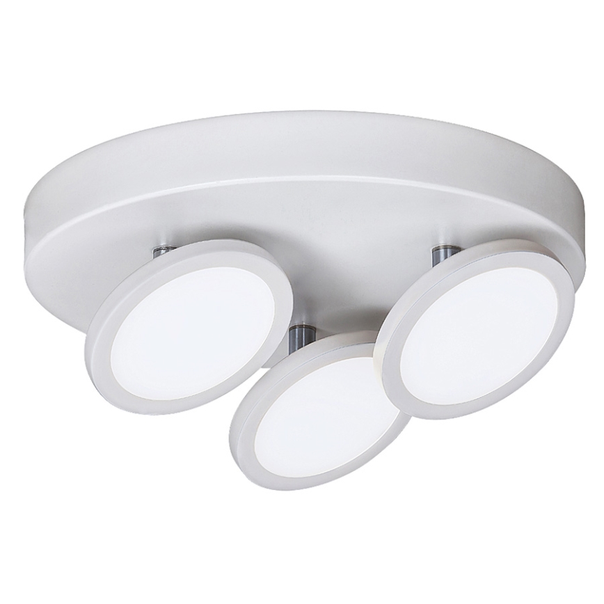 Rabalux - LED plafonsko svetlo 3xLED/6W/230V belo
