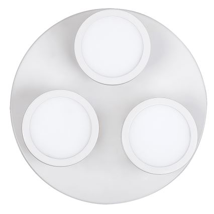 Rabalux - LED plafonsko svetlo 3xLED/6W/230V belo