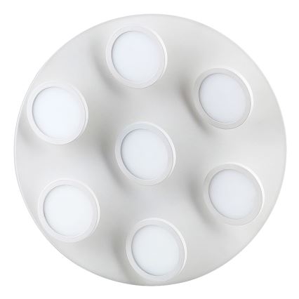 Rabalux - LED plafonsko svetlo 7xLED/6W/230V, belo