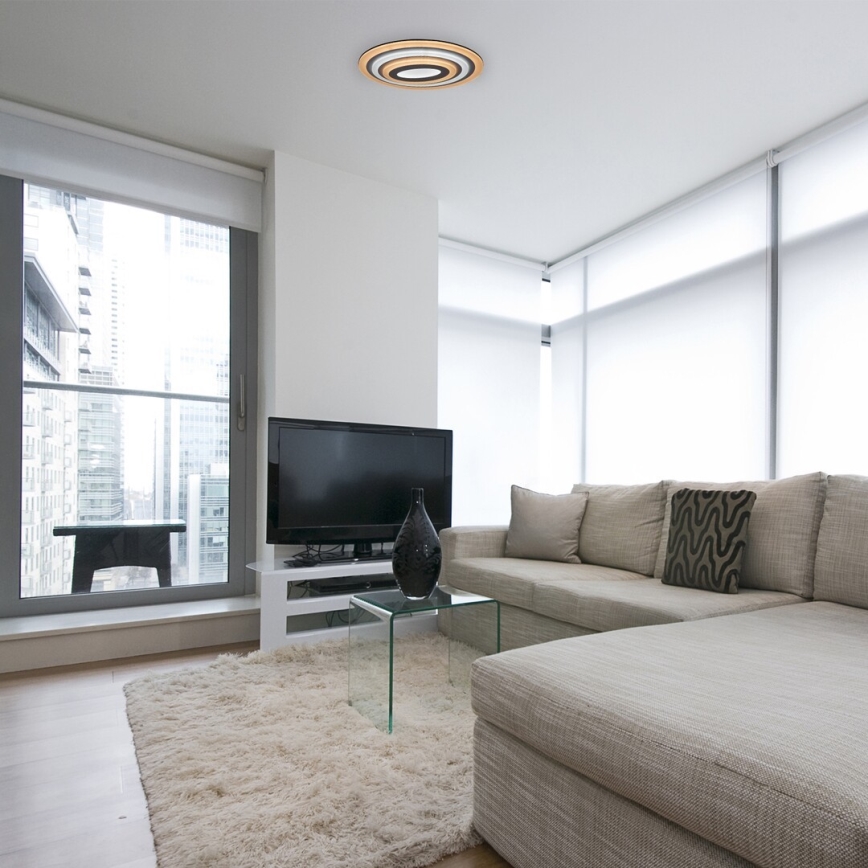 Rabalux - prigušiva LED plafonska svetiljka LED/41W/230V + daljinski upravljač, prečnik 53 cm