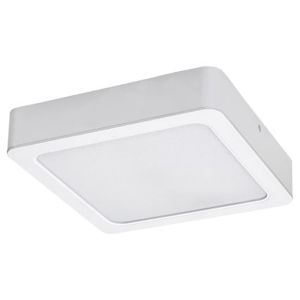 Rabalux - LED plafonsko svetlo LED/24W/230V 22x22 cm