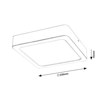 Rabalux - LED plafonsko svetlo LED/24W/230V 22x22 cm