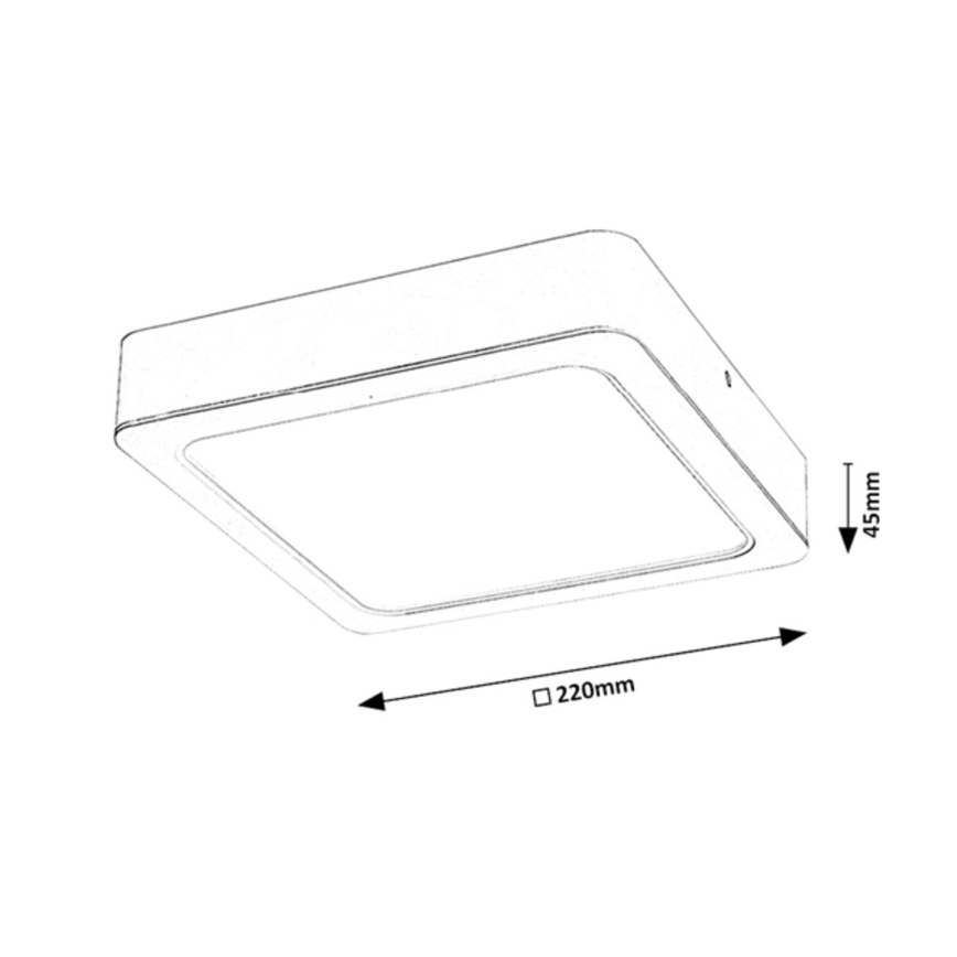 Rabalux - LED plafonsko svetlo LED/24W/230V 22x22 cm
