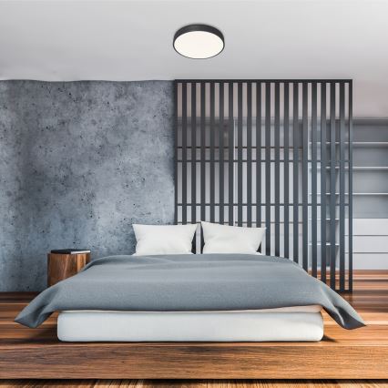 Rabalux - LED prigušiva stropna svetiljka LED/60W/230V 60 cm + sa daljinskim upravljačem pr. 60 cm