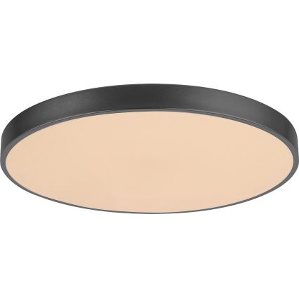 Rabalux - LED prigušiva stropna svetiljka LED/60W/230V 60 cm + sa daljinskim upravljačem pr. 60 cm