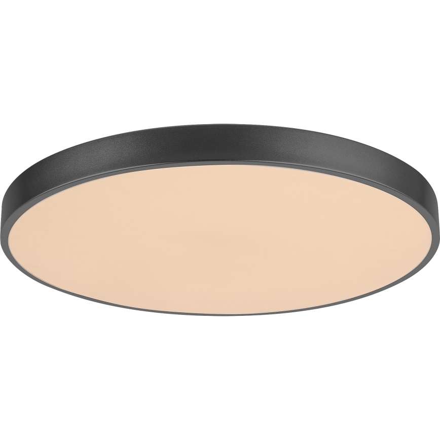 Rabalux - LED prigušiva stropna svetiljka LED/60W/230V 60 cm + sa daljinskim upravljačem pr. 60 cm