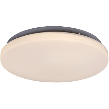 Rabalux - LED plafonsko svetlo LED/20W/230V prečnik 29 cm
