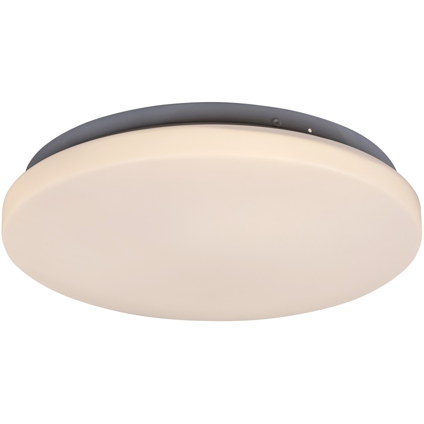 Rabalux - LED plafonsko svetlo LED/20W/230V prečnik 29 cm