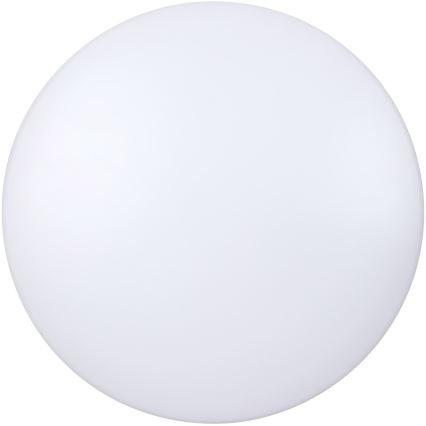 Rabalux - LED plafonsko svetlo LED/20W/230V prečnik 29 cm