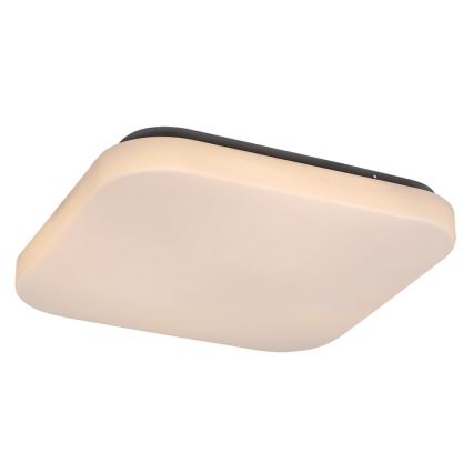 Rabalux - LED plafonsko svetlo LED/20W/230V 29x29 cm