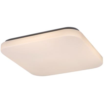 Rabalux - LED plafonsko svetlo LED/32W/230V 32x32 cm