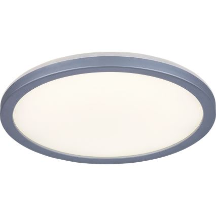 Rabalux - LED plafonsko svetlo za kupatilo, LED/15W/230V, IP44, prečnik 28 cm