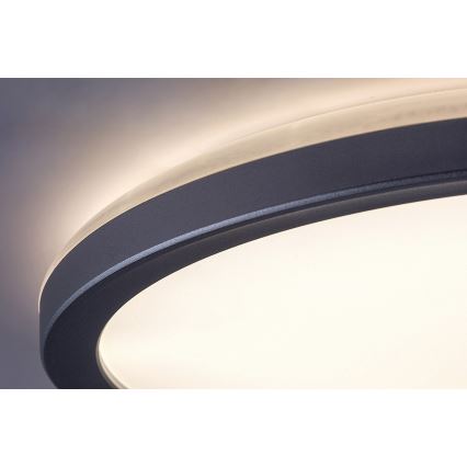 Rabalux - LED plafonsko svetlo za kupatilo, LED/15W/230V, IP44, prečnik 28 cm