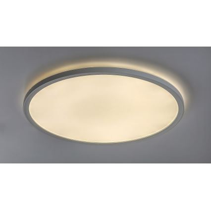 Rabalux - prigušiva LED stropna svetiljka LED/22W/230V, prečnika 42 cm