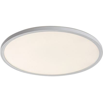 Rabalux - prigušiva LED stropna svetiljka LED/22W/230V, prečnika 42 cm