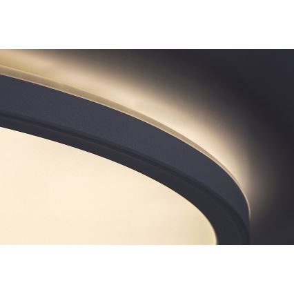 Rabalux - prigušiva LED stropna svetiljka LED/22W/230V, prečnika 42 cm