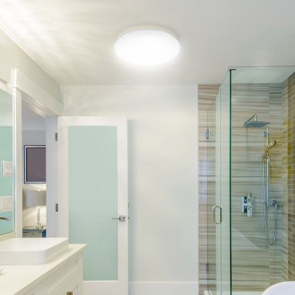 Rabalux - LED plafonsko svetlo za kupatilo LED/12W/230V IP44 prečnik 26 cm