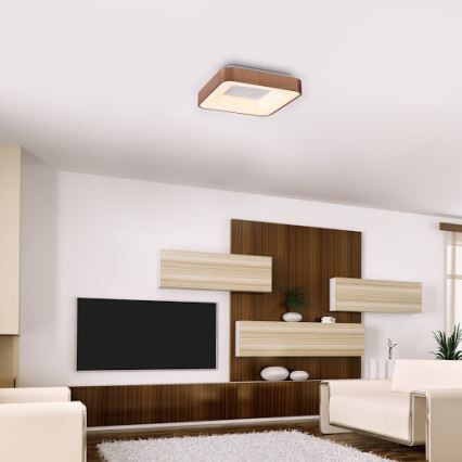 Rabalux - LED plafonsko svetlo CARMELA LED/30W/230V 40x40 cm