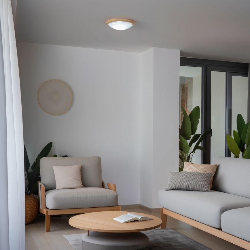 Rabalux - Stropno svetlo 1xE27/60W/230V prečnik 30 cm