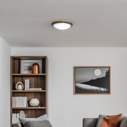 Rabalux - Plafonsko svetlo 1xE27/60W/230V prečnik 30 cm