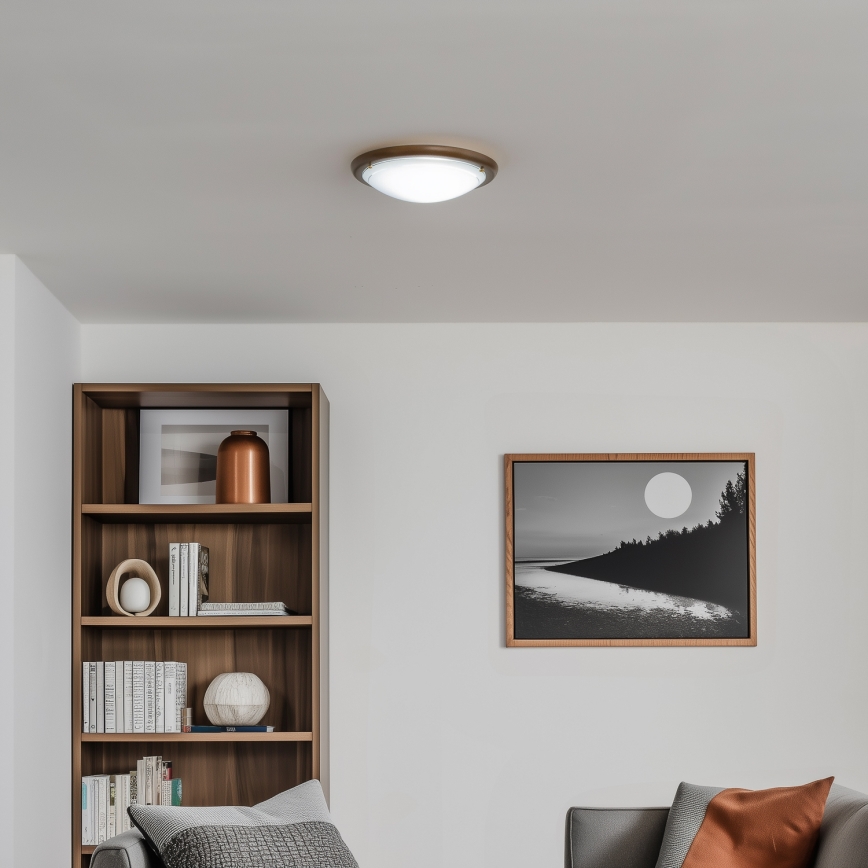 Rabalux - Plafonsko svetlo 1xE27/60W/230V prečnik 30 cm