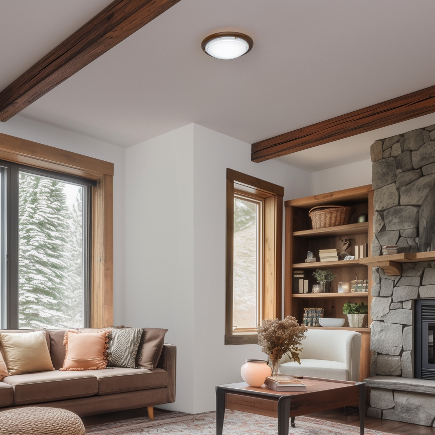 Rabalux - Plafonsko svetlo 1xE27/60W/230V prečnik 30 cm